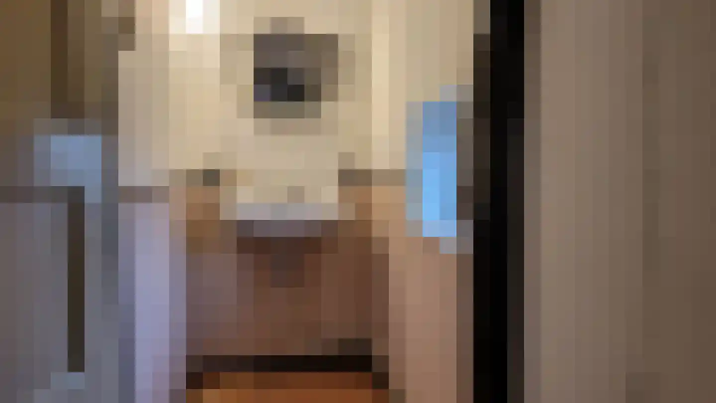 Kerkstraat 2 Varik thumbnail 23