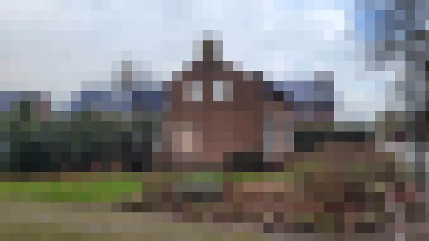 Kerkstraat 2 Varik thumbnail 5