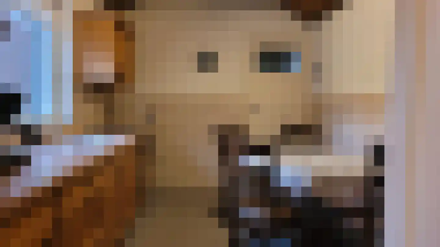 Kerkstraat 2 Varik thumbnail 9
