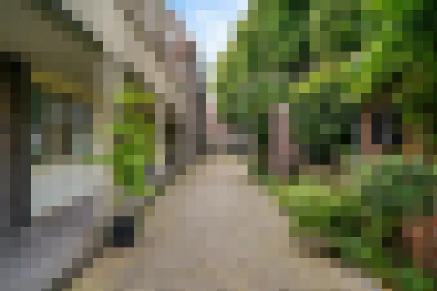 Kerkstraat 20 Alkmaar thumbnail 7