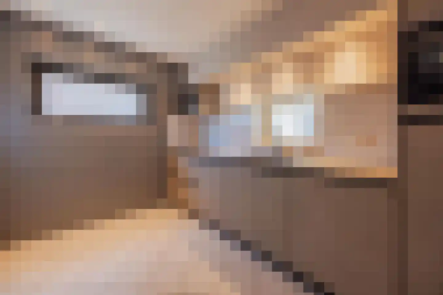 Kerkstraat 20 Broekhuizenvorst thumbnail 4