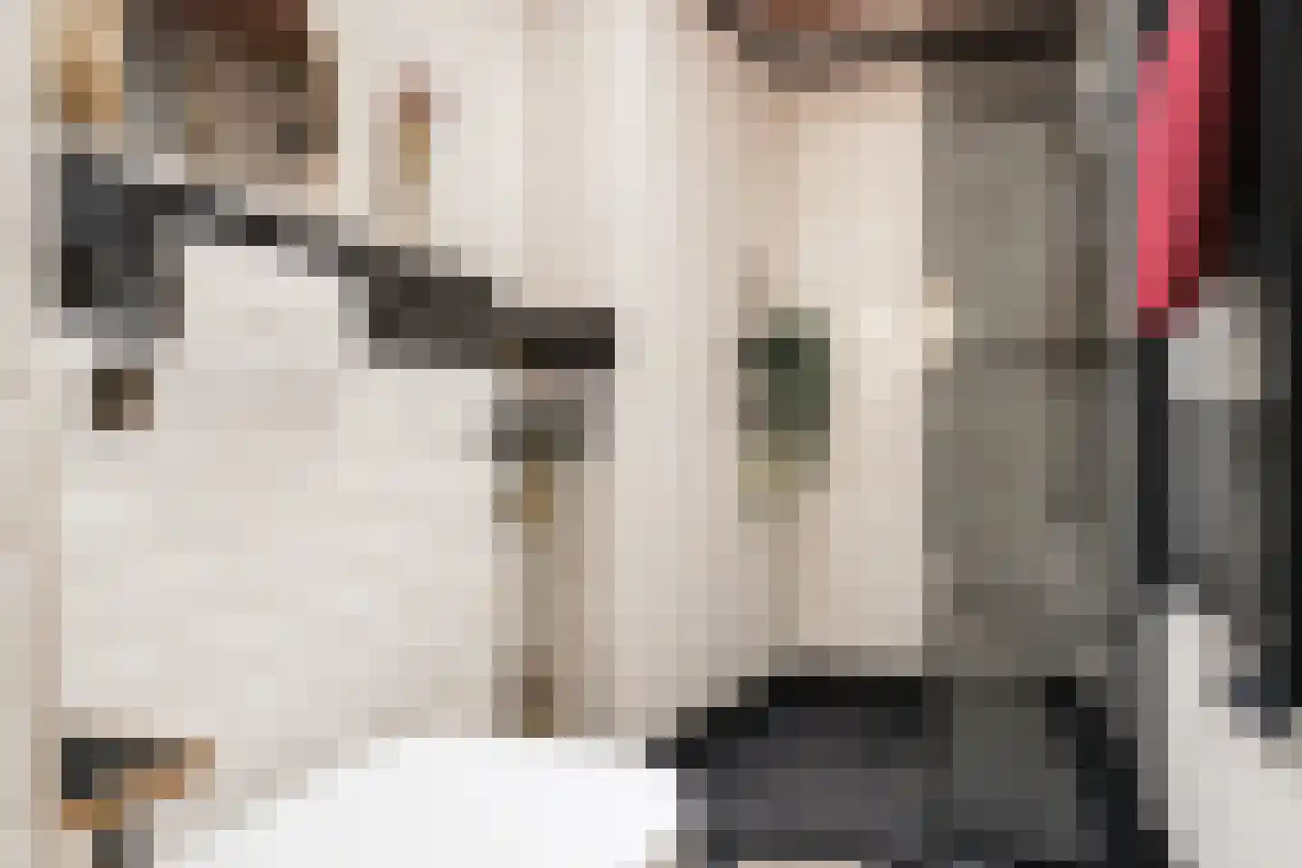 Kerkstraat 20 Haarlem thumbnail 14