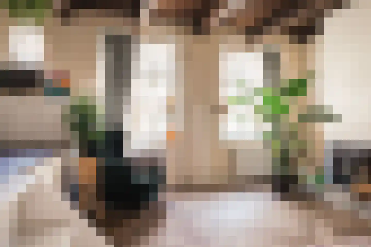 Kerkstraat 20 Haarlem thumbnail 17