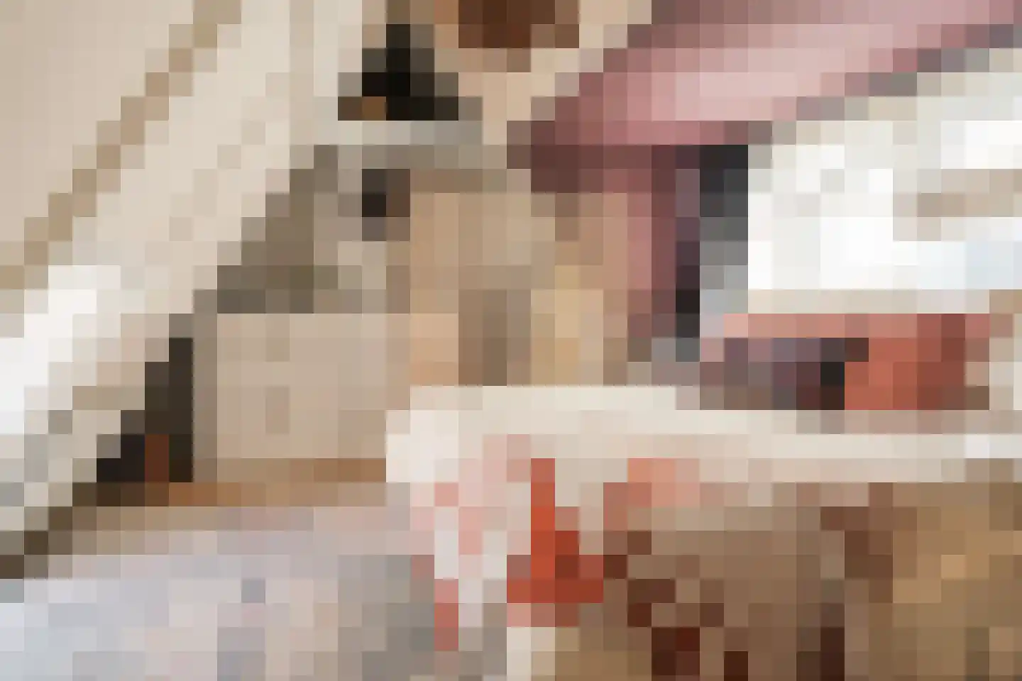 Kerkstraat 20 Haarlem thumbnail 22