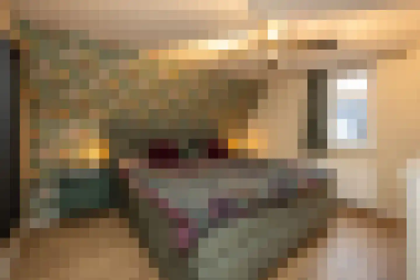 Kerkstraat 20 Helvoirt thumbnail 20