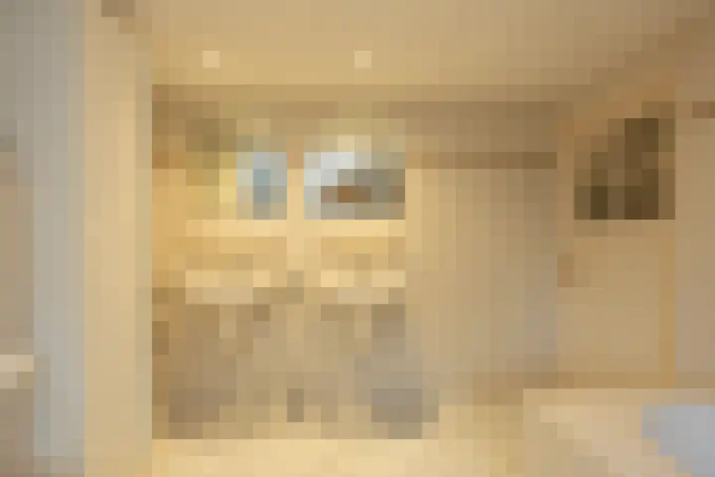 Kerkstraat 20 Helvoirt thumbnail 21