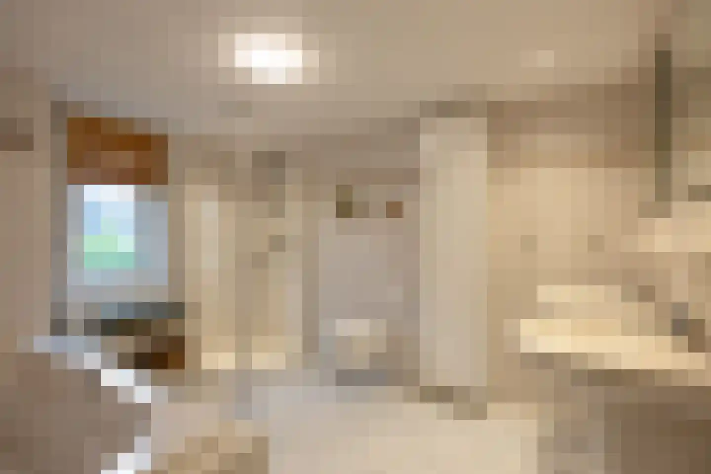 Kerkstraat 20 Helvoirt thumbnail 22