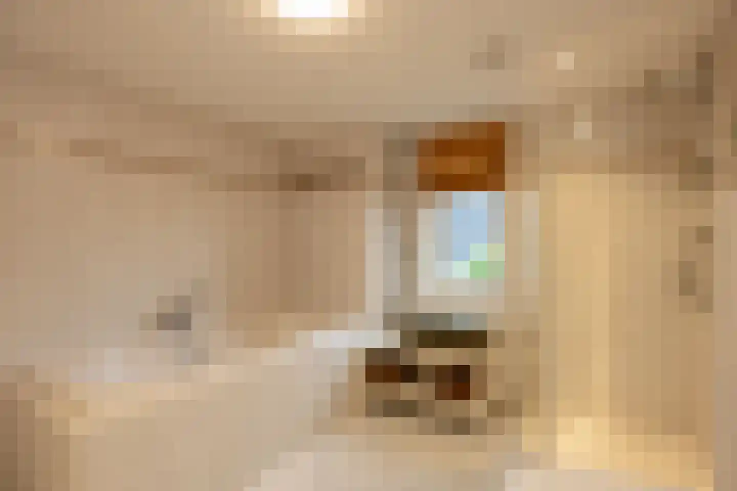 Kerkstraat 20 Helvoirt thumbnail 23