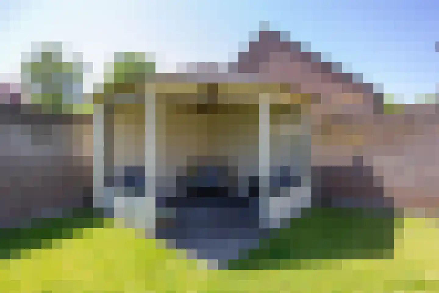 Kerkstraat 20 Helvoirt thumbnail 30