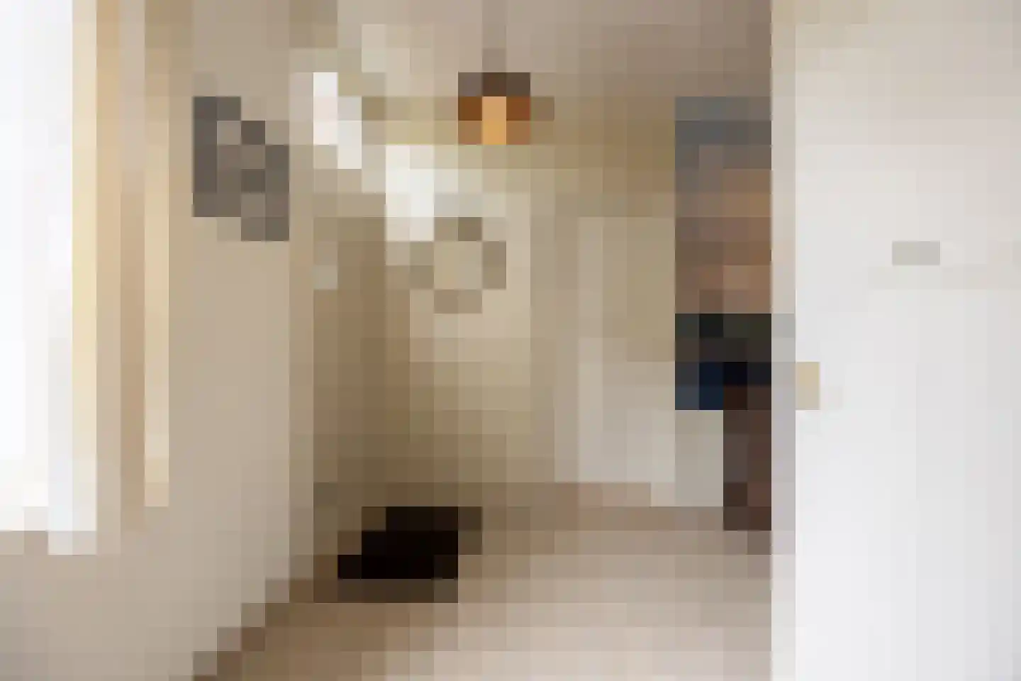 Kerkstraat 20 Helvoirt thumbnail 5
