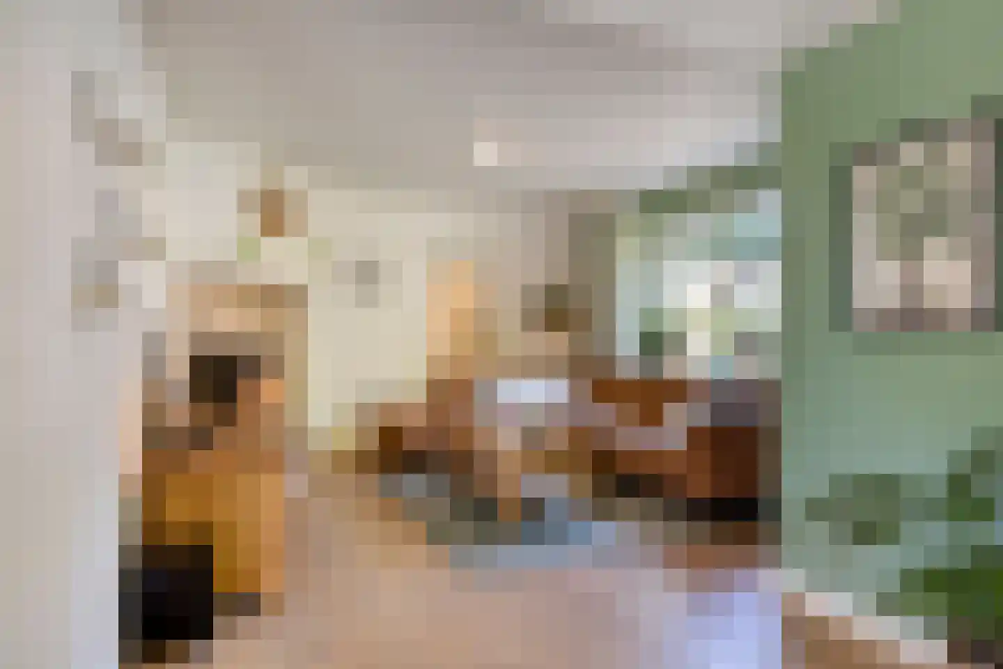 Kerkstraat 20 Ruurlo thumbnail 12