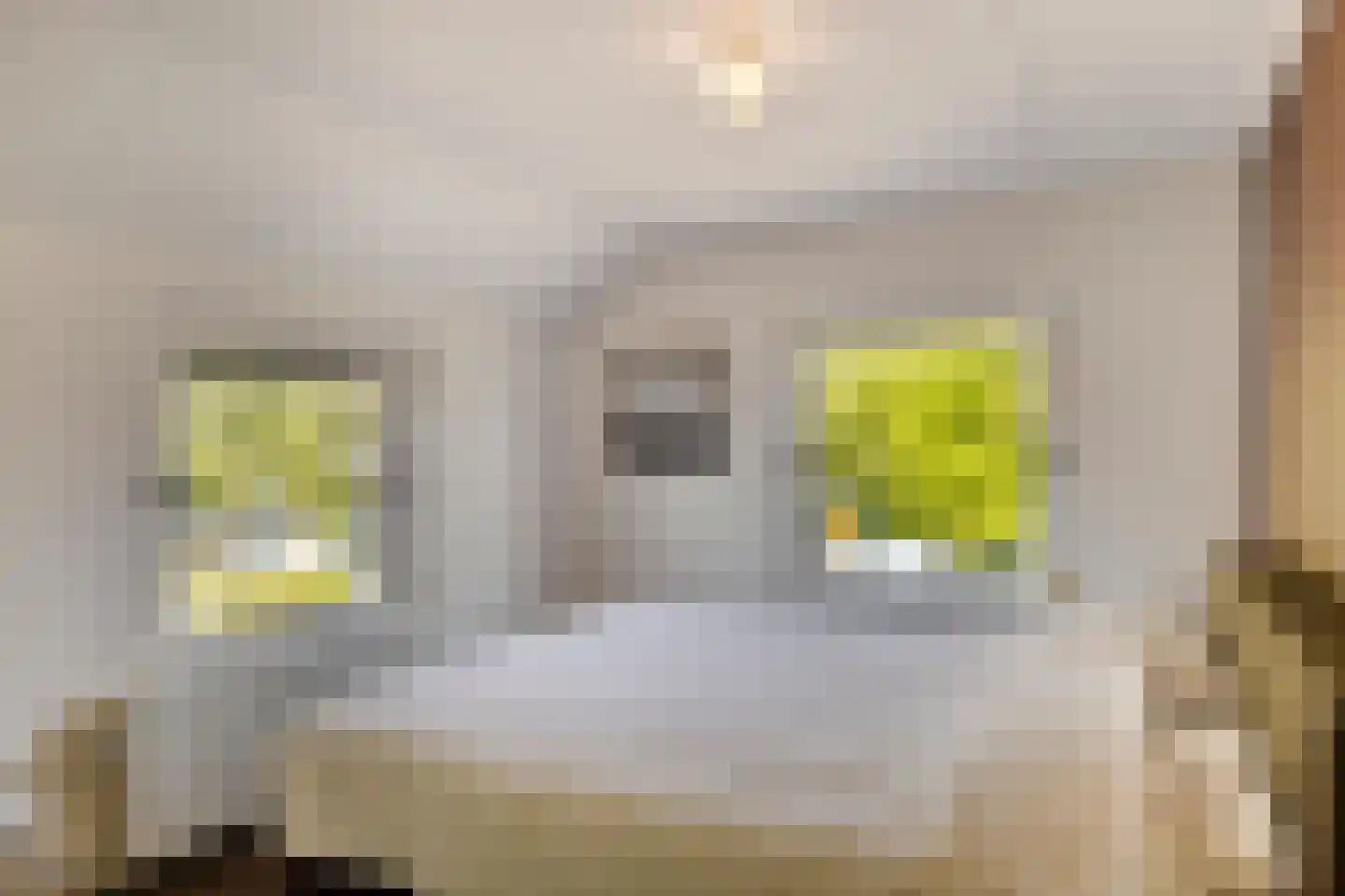 Kerkstraat 20 Ruurlo thumbnail 20