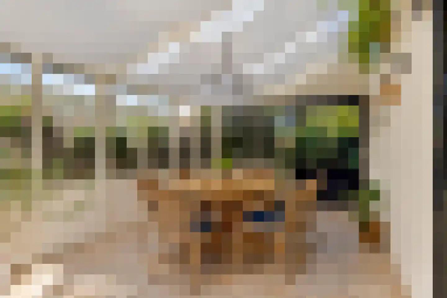 Kerkstraat 20 Ruurlo thumbnail 32