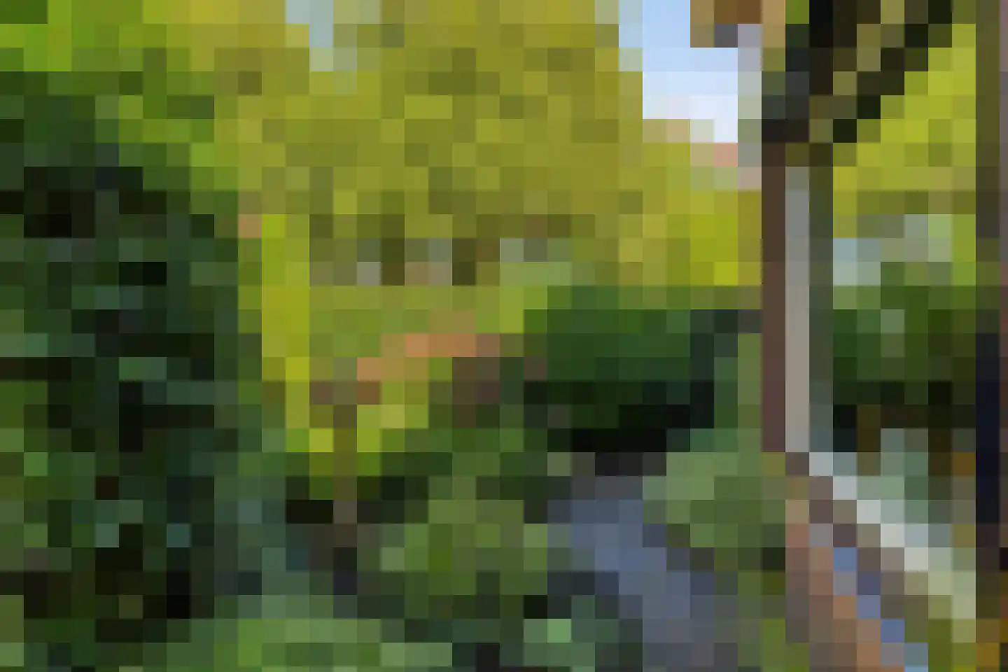 Kerkstraat 20 Ruurlo thumbnail 34