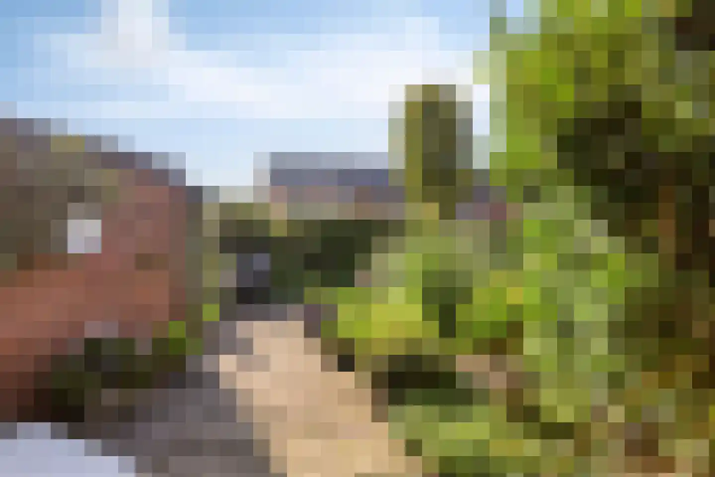Kerkstraat 20 Ruurlo thumbnail 37
