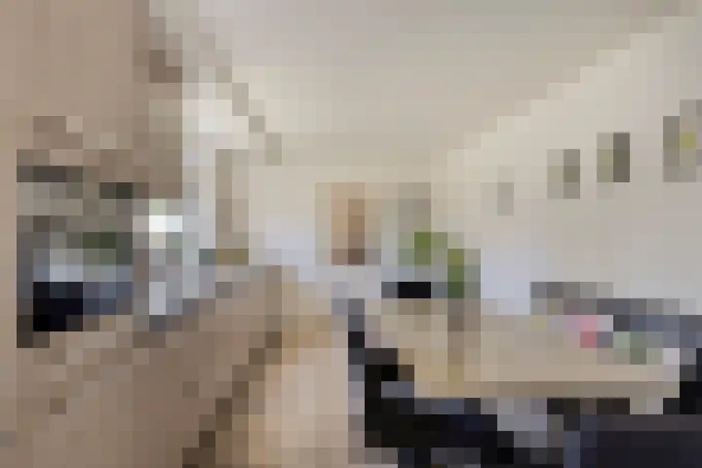 Kerkstraat 20 Ruurlo thumbnail 7