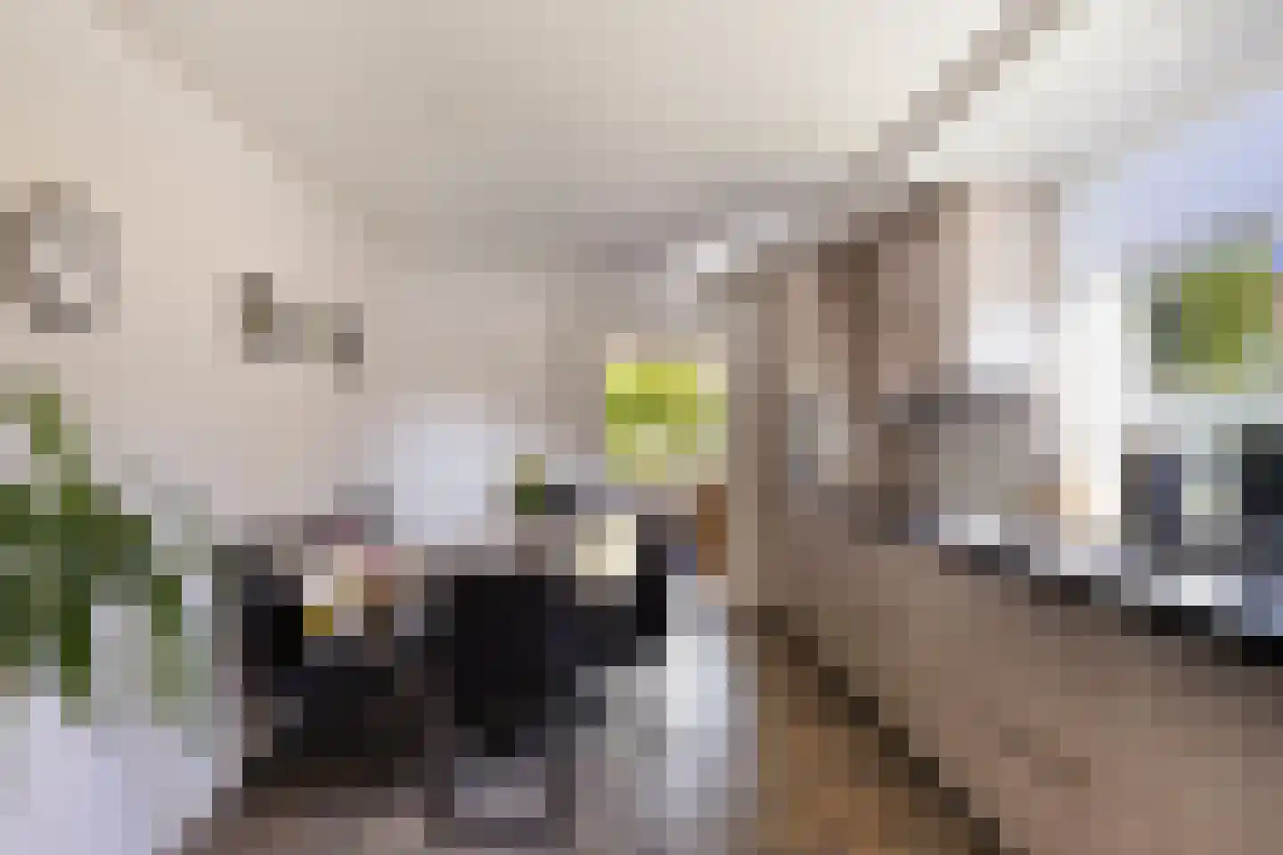 Kerkstraat 20 Ruurlo thumbnail 9