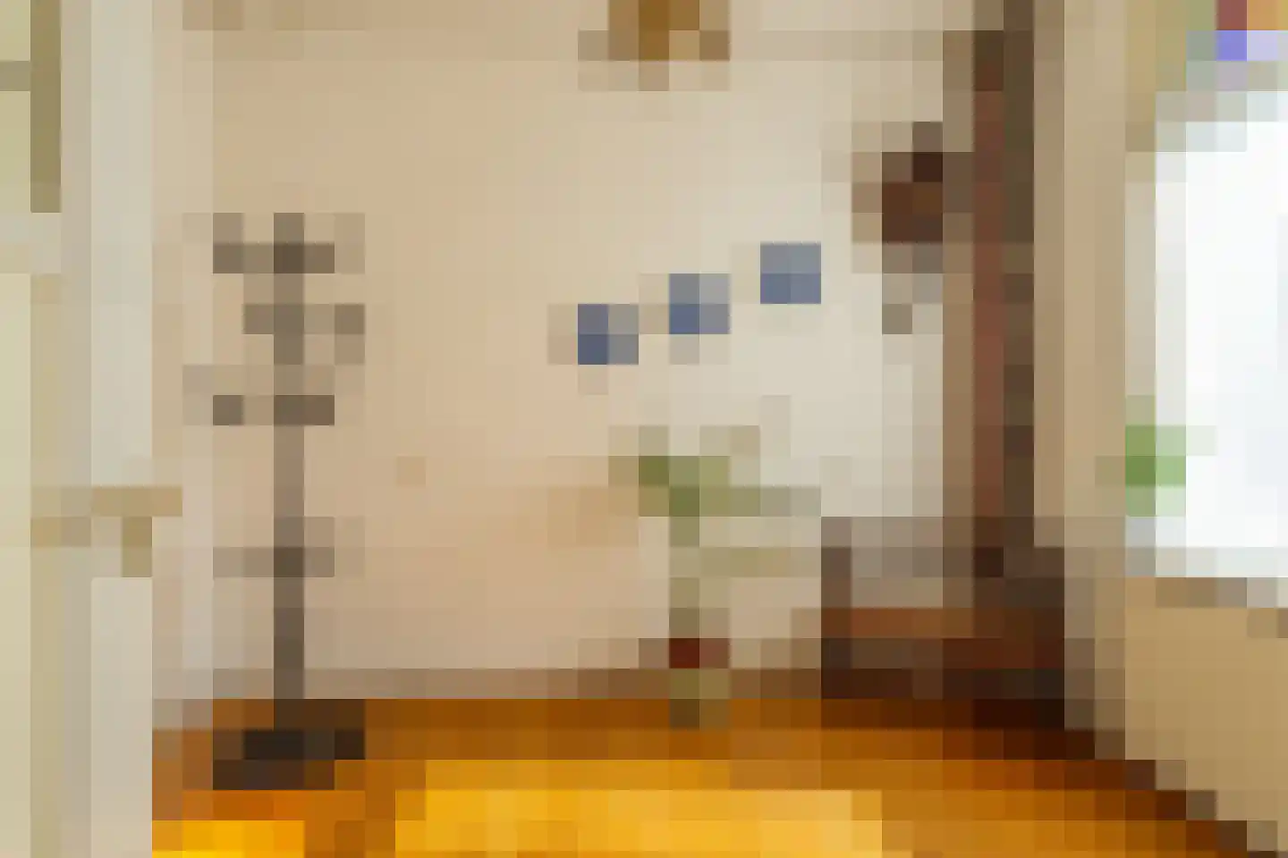 Kerkstraat 20 Sprang-Capelle thumbnail 11