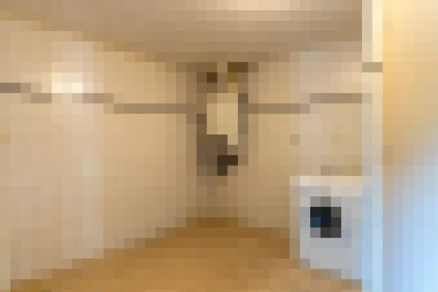 Kerkstraat 20 Sprang-Capelle thumbnail 15
