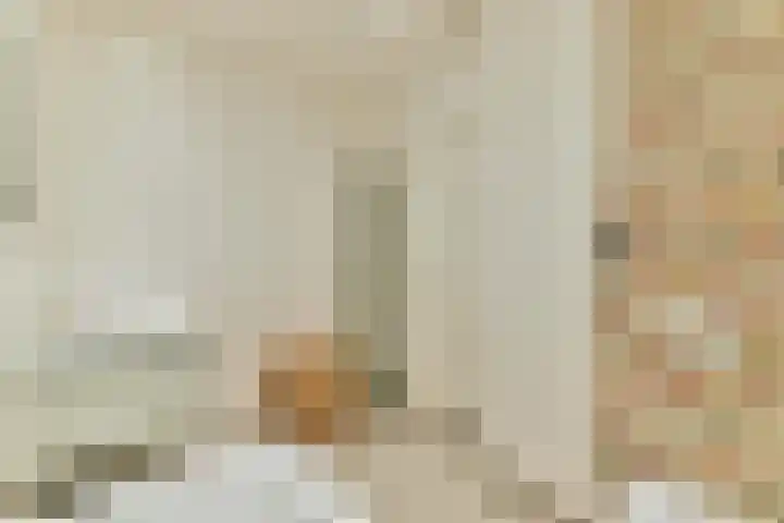 Kerkstraat 20 Sprang-Capelle thumbnail 29