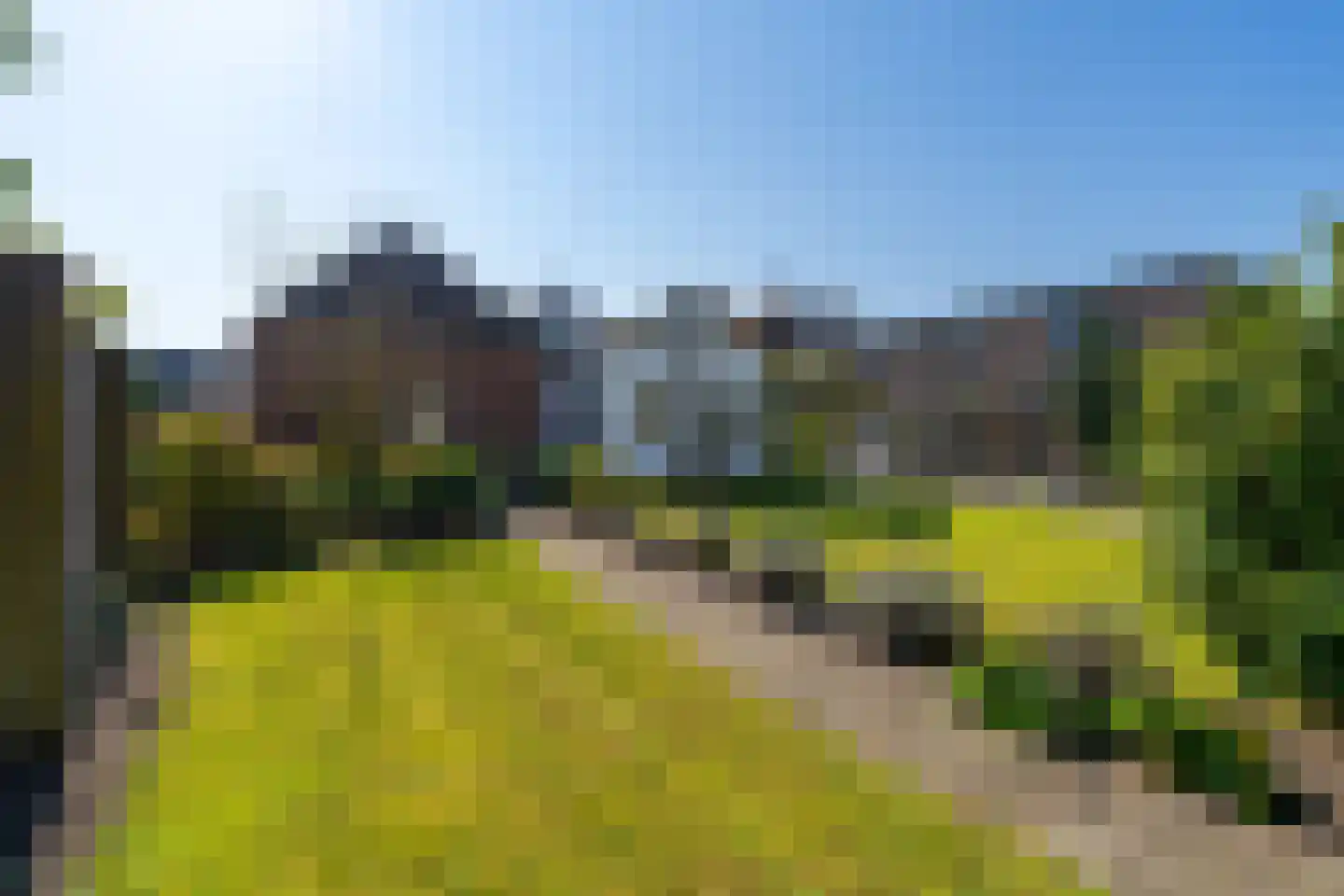 Kerkstraat 20 Sprang-Capelle foto 3