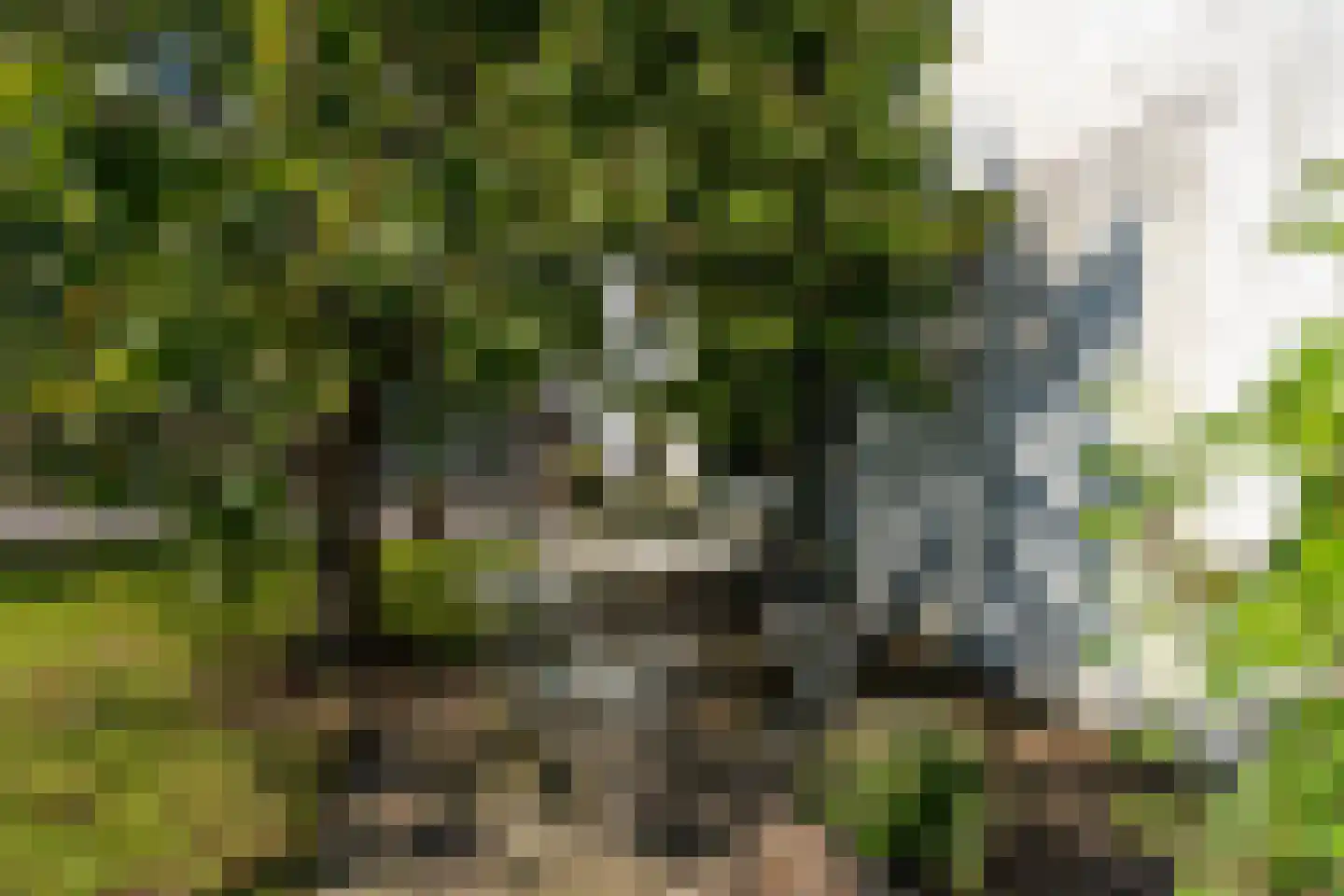 Kerkstraat 20 Sprang-Capelle thumbnail 36