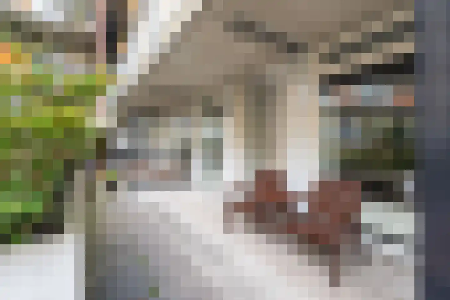 Kerkstraat 20 Sprang-Capelle thumbnail 38
