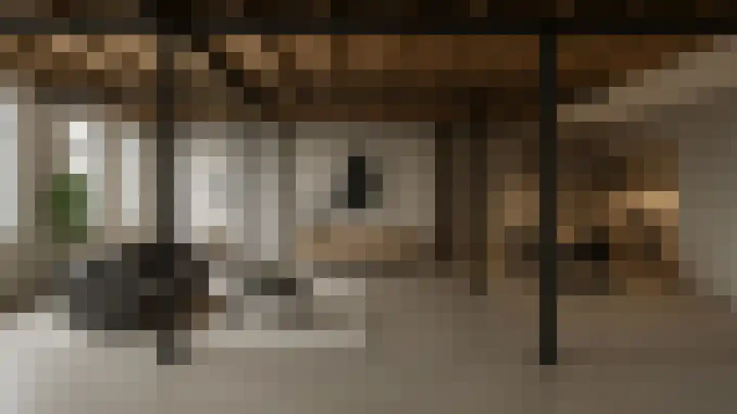 Kerkstraat 20 Sprang-Capelle thumbnail 40