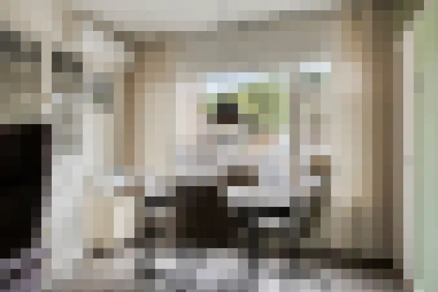 Kerkstraat 20 Zuidlaren thumbnail 12