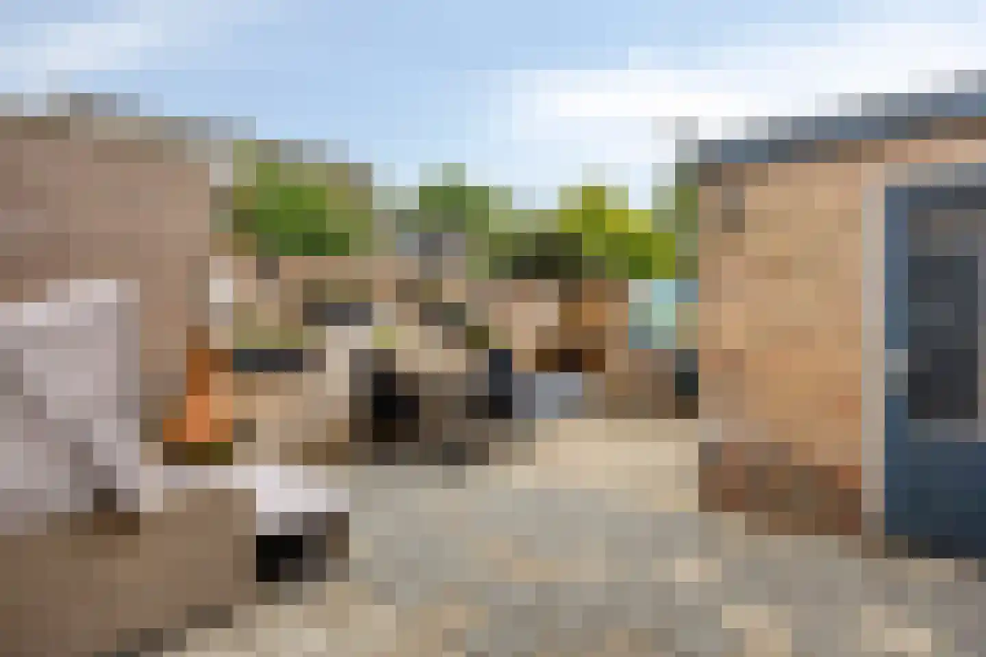 Kerkstraat 20 Zuidlaren thumbnail 22