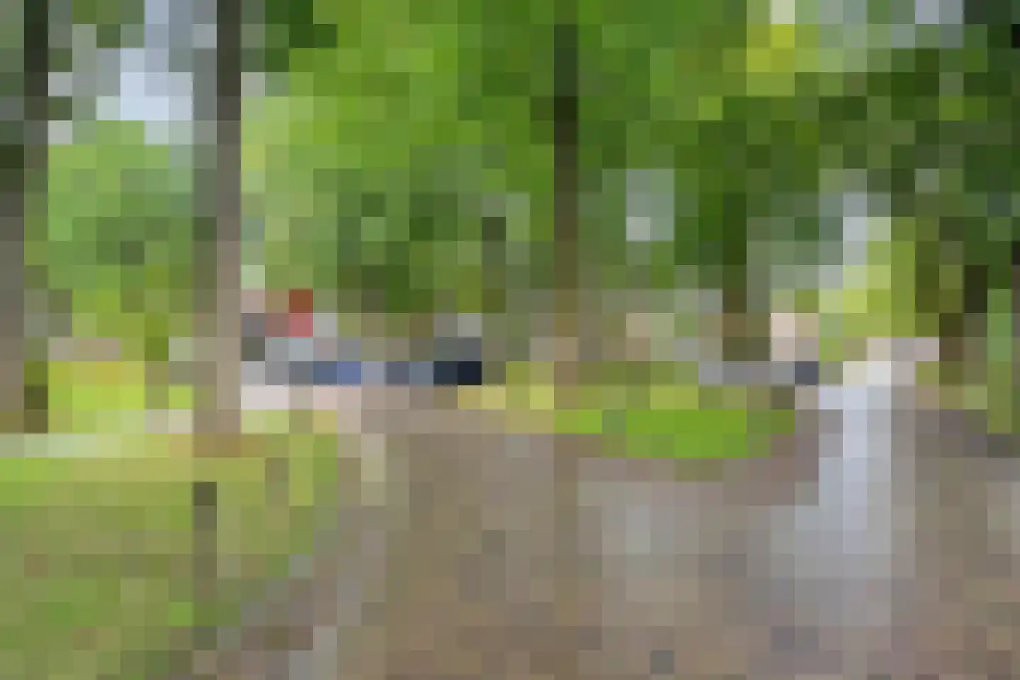 Kerkstraat 20 Zuidlaren thumbnail 36