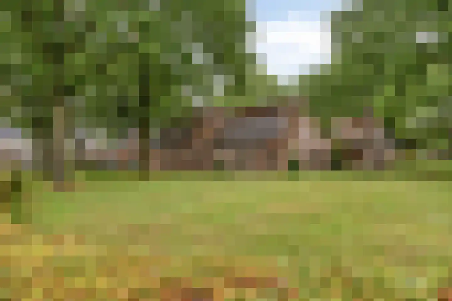 Kerkstraat 20 Zuidlaren thumbnail 38