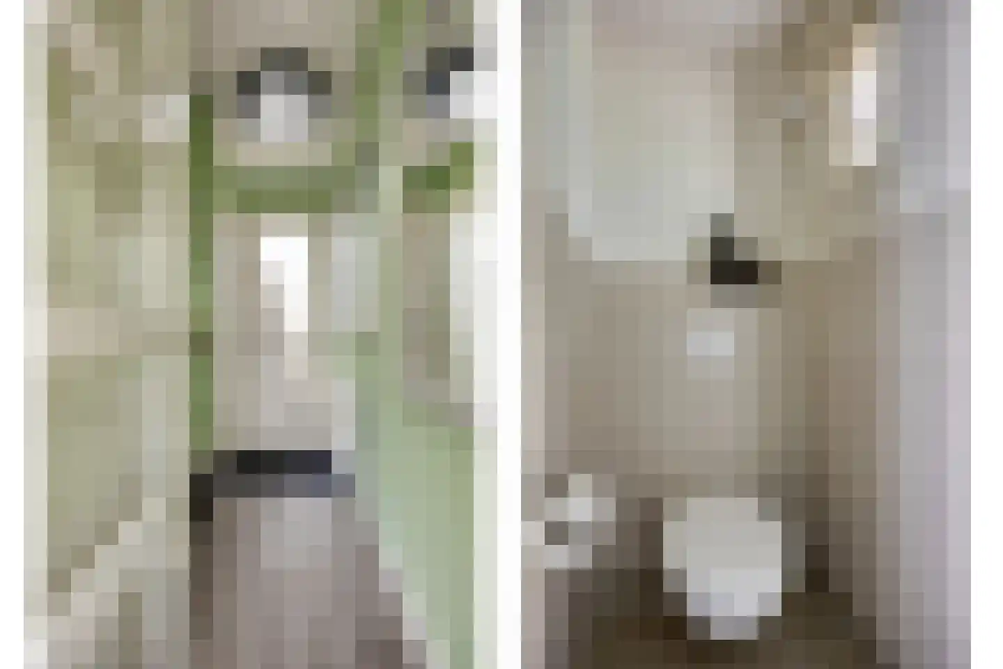 Kerkstraat 20 Zuidlaren thumbnail 5