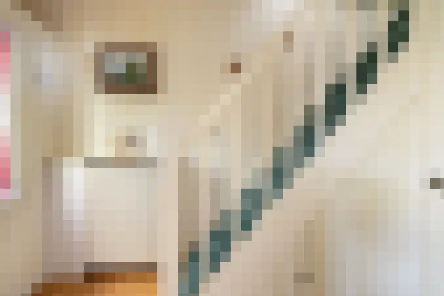 Kerkstraat 201 Oostzaan thumbnail 23