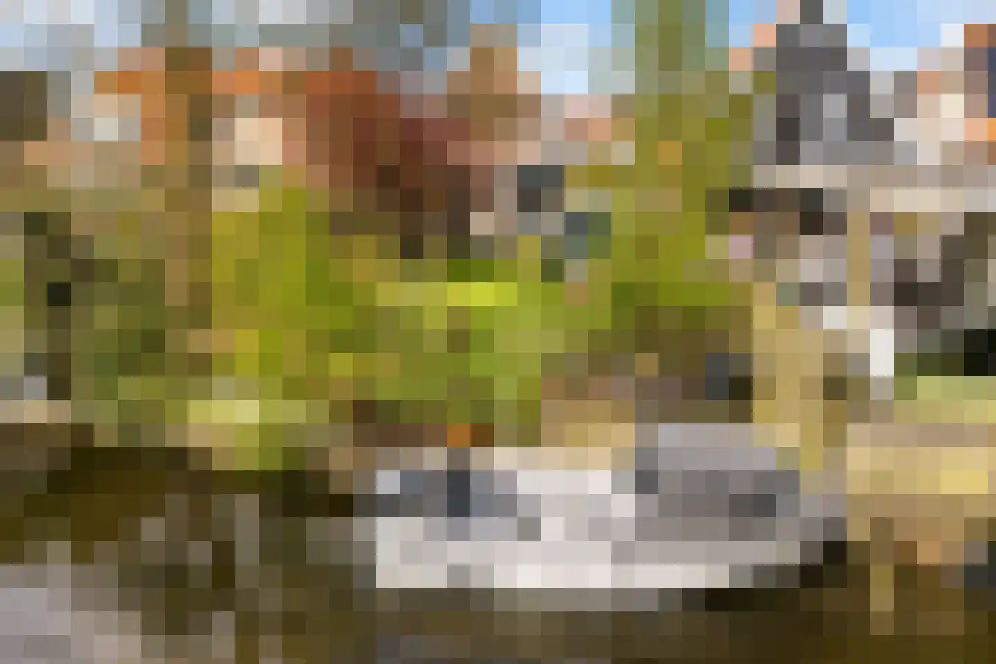 Kerkstraat 201 Oostzaan thumbnail 41