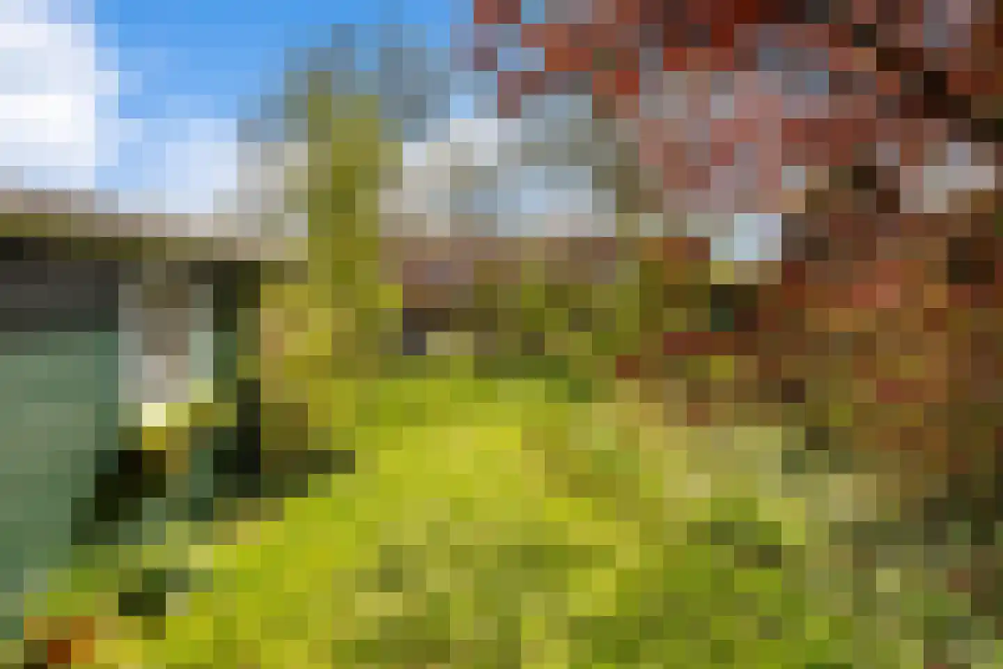 Kerkstraat 201 Oostzaan thumbnail 48