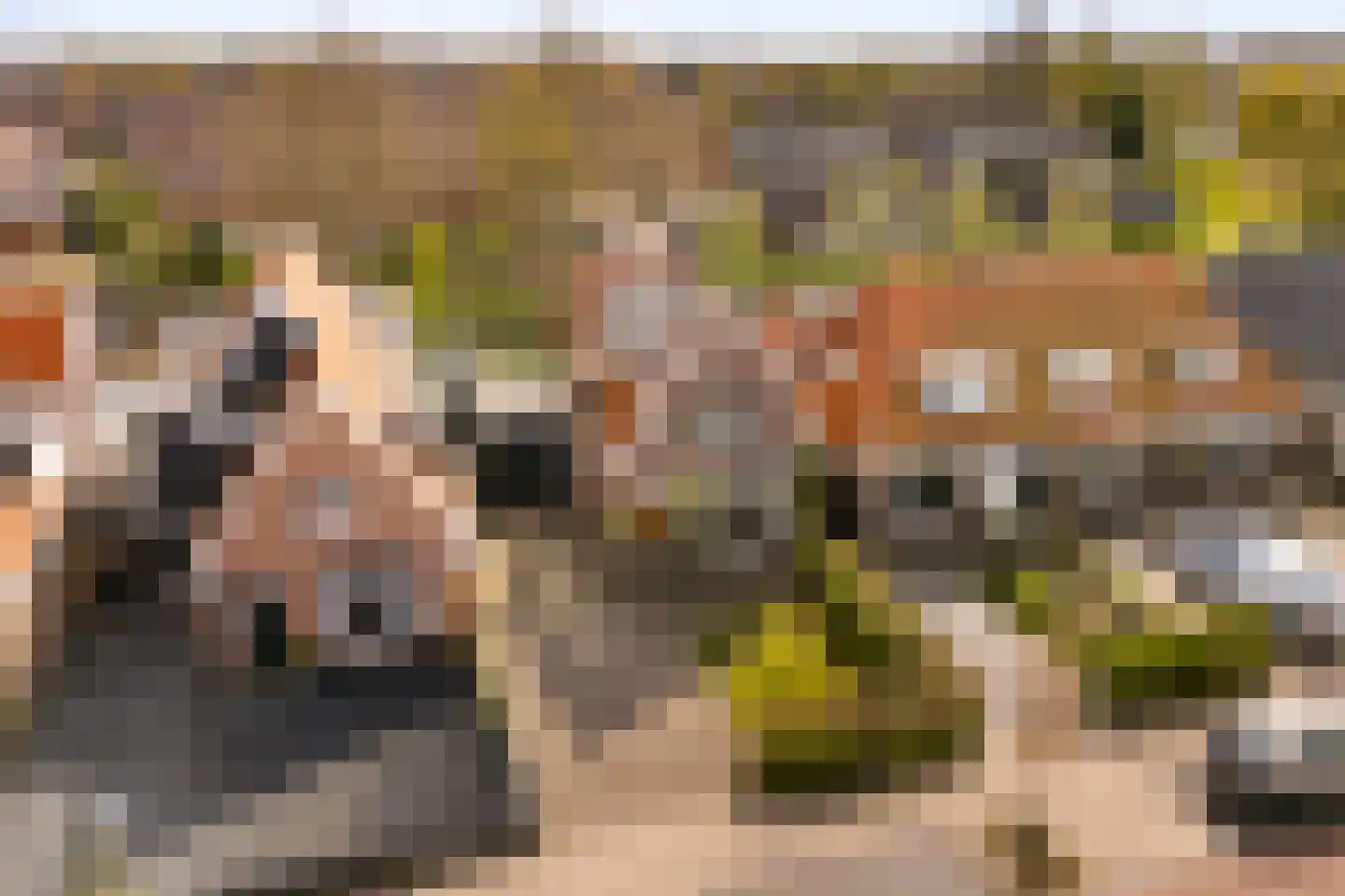 Kerkstraat 201 Oostzaan thumbnail 57