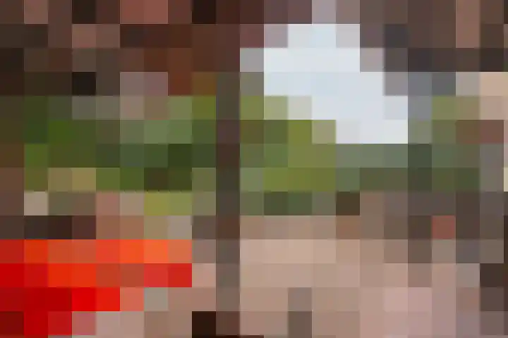 Kerkstraat 209 Cadier en Keer thumbnail 15