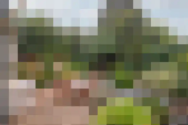 Kerkstraat 209 Cadier en Keer thumbnail 16