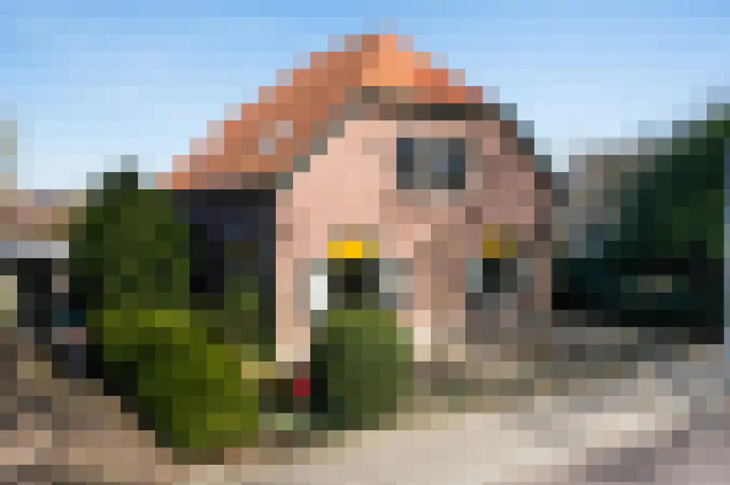 Kerkstraat 21 dans Voorst