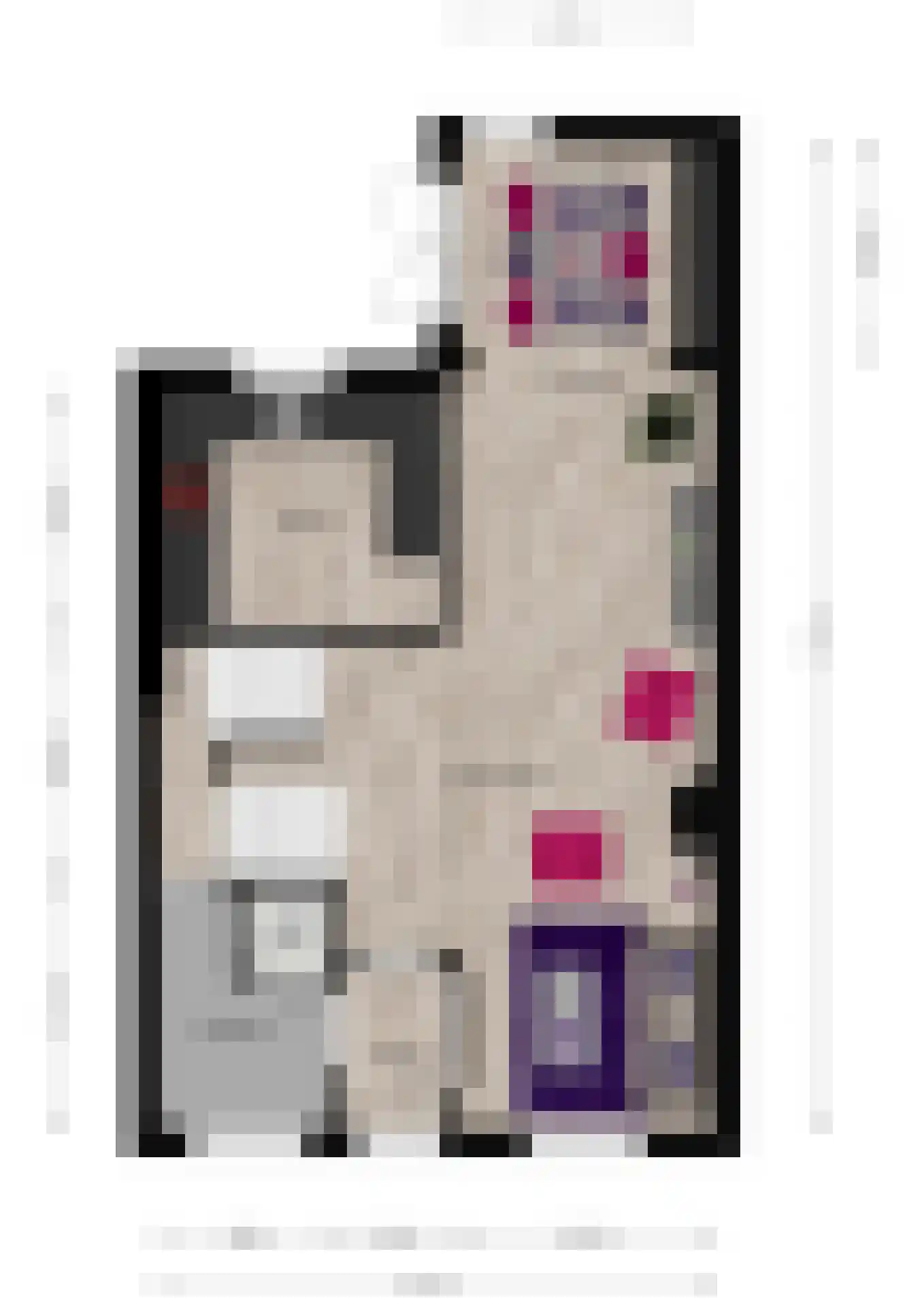 Kerkstraat 21 Harderwijk thumbnail 37
