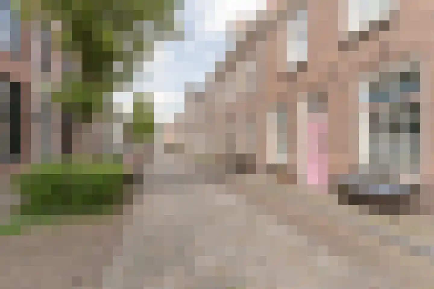 Kerkstraat 21 Harderwijk thumbnail 8