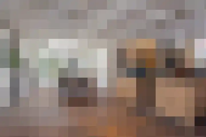 Kerkstraat 21 Helvoirt thumbnail 10