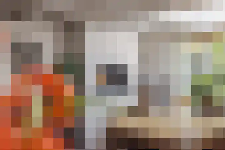 Kerkstraat 21 Helvoirt thumbnail 15