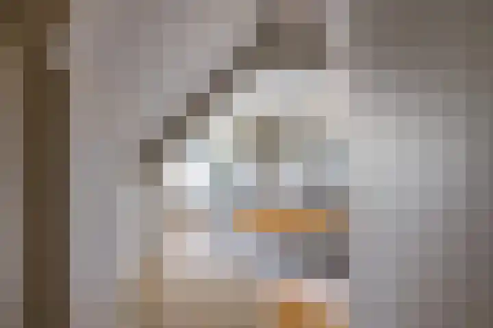 Kerkstraat 21 Helvoirt thumbnail 28