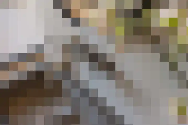 Kerkstraat 21 Helvoirt thumbnail 31