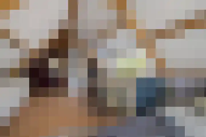 Kerkstraat 21 Helvoirt thumbnail 33