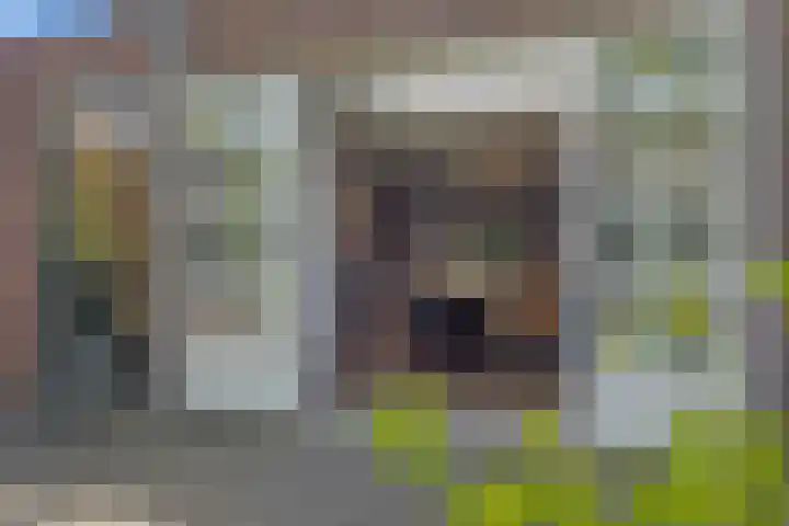 Kerkstraat 21 Helvoirt thumbnail 34