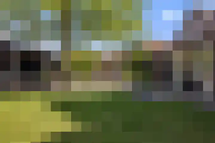 Kerkstraat 21 Helvoirt thumbnail 37