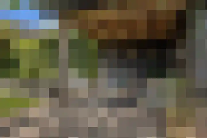 Kerkstraat 21 Helvoirt thumbnail 38